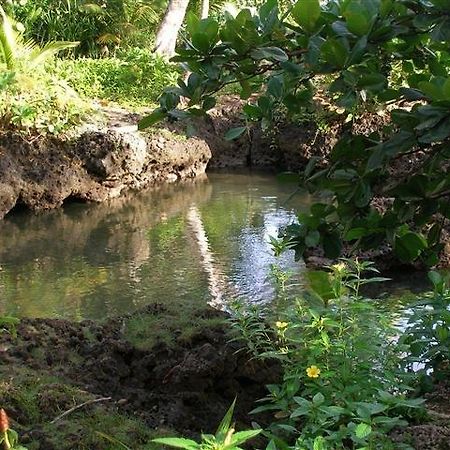 Piscina Natural On The Sea Cahuita Eksteriør bilde