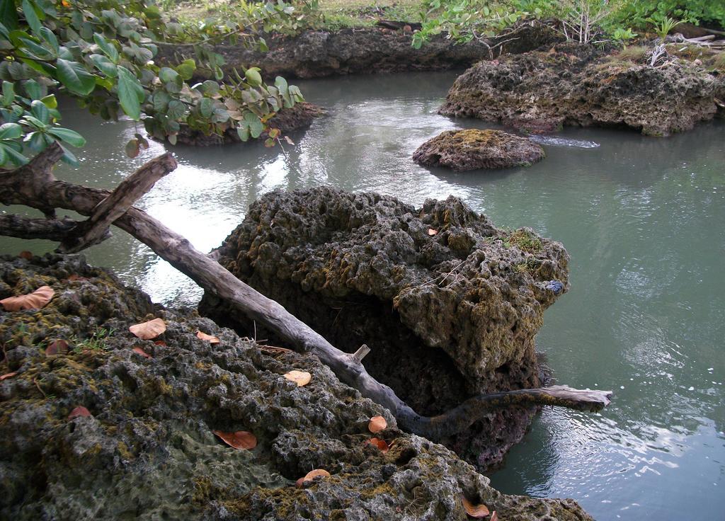 Piscina Natural On The Sea Cahuita Eksteriør bilde