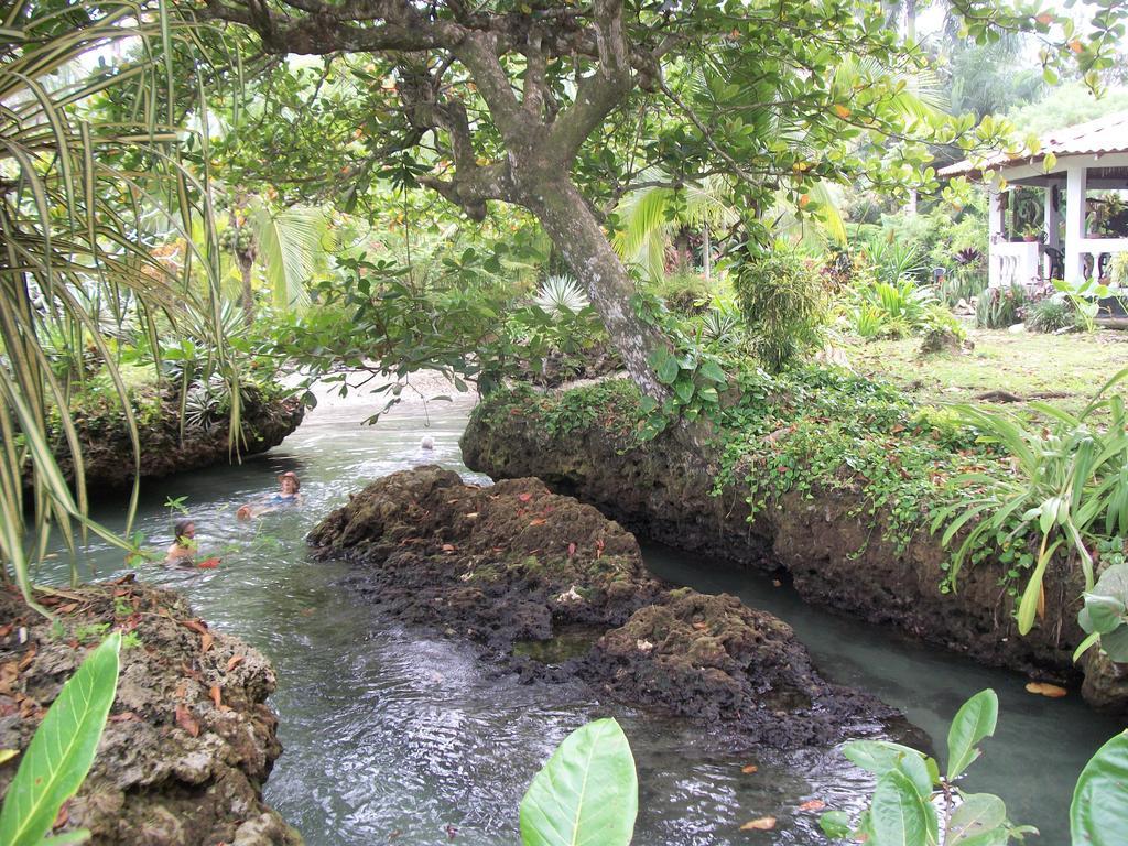 Piscina Natural On The Sea Cahuita Eksteriør bilde