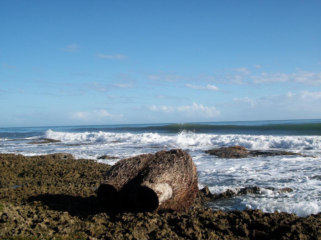 Piscina Natural On The Sea Cahuita Eksteriør bilde