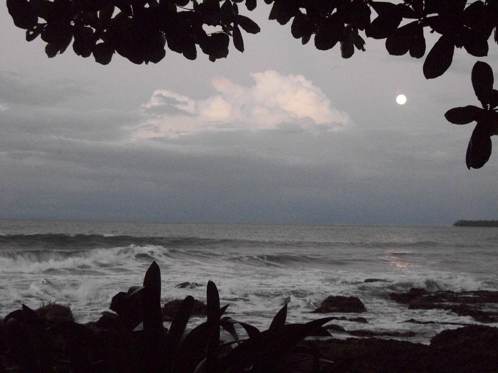 Piscina Natural On The Sea Cahuita Eksteriør bilde