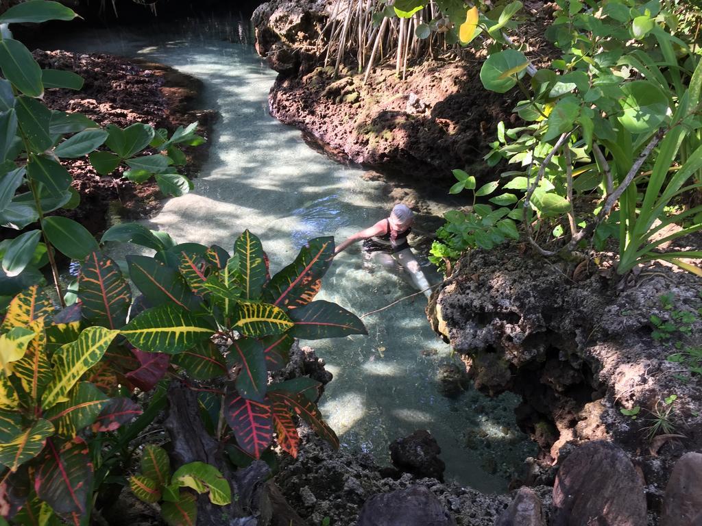 Piscina Natural On The Sea Cahuita Eksteriør bilde