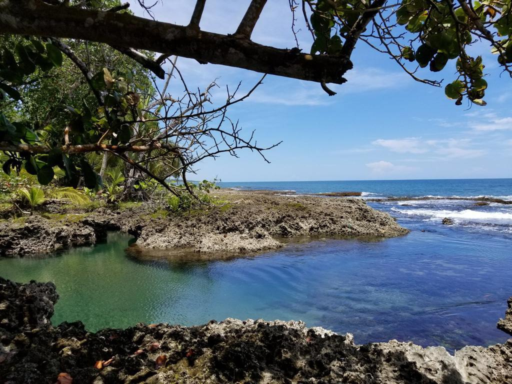 Piscina Natural On The Sea Cahuita Eksteriør bilde