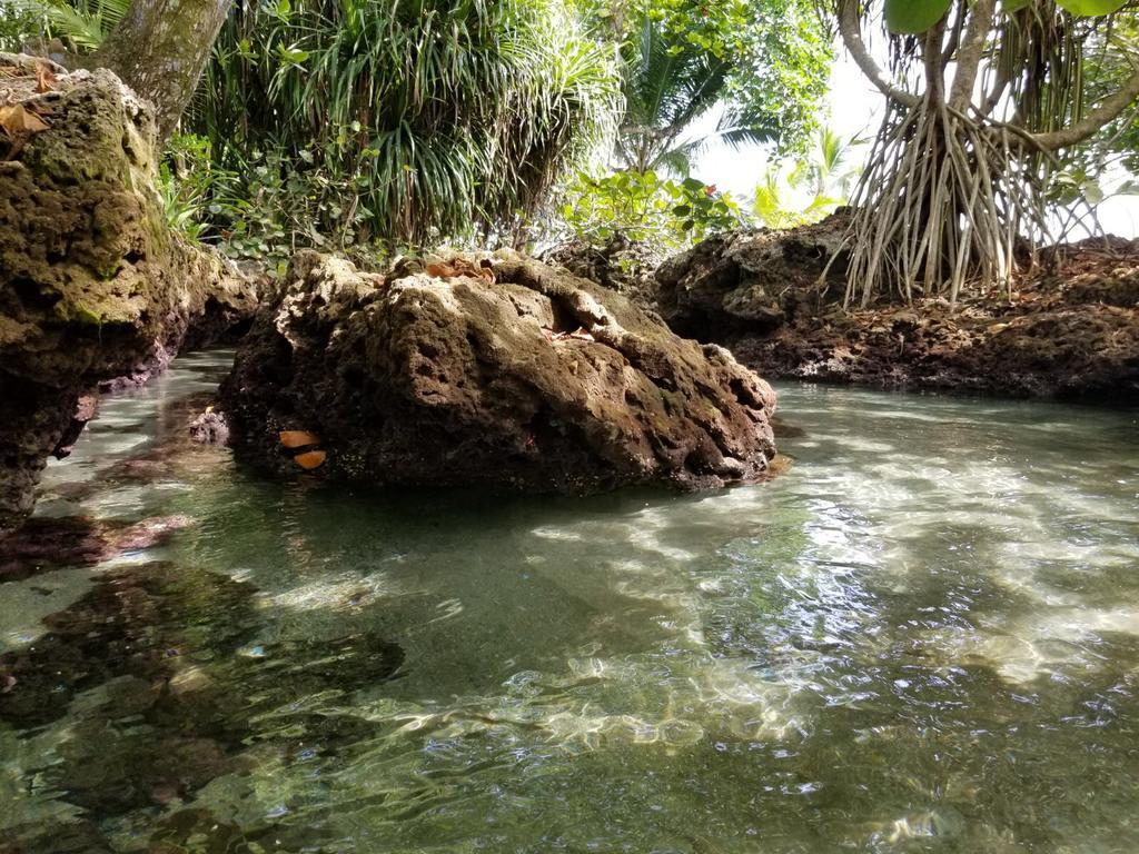 Piscina Natural On The Sea Cahuita Eksteriør bilde